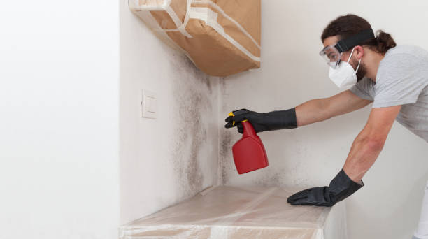 Professional Crawl Space Mold Removal technician working in Mill Neck, NY