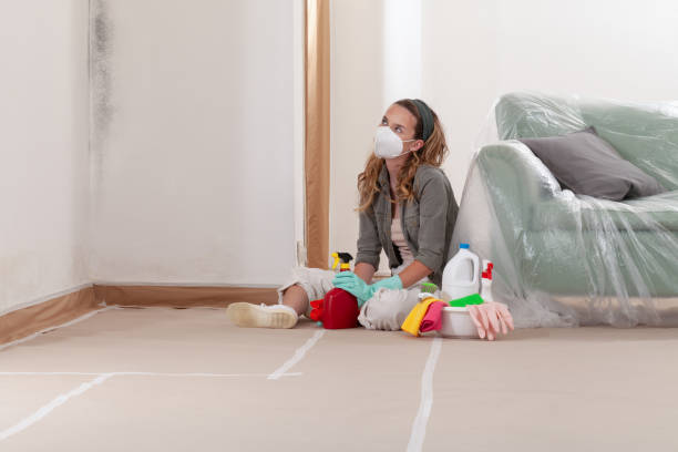Reliable Crawl Space Mold Removal contractor in Mill Neck, NY by WQB Mold Removal